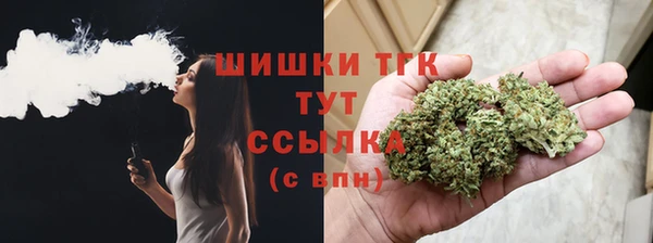 шишки Вязники