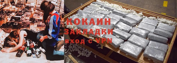 шишки Вязники