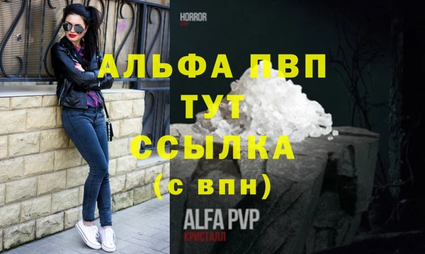 шишки Вязники
